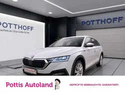 Weiss Gebraucht 2022 Skoda Octavia Kombi | 27.677 € (Superpreis)