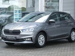 Graphite grau metallic Neu 2025 Skoda Fabia Selection Kleinwagen | 22.590 € (Fairer Preis)