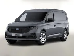 Grau Neu 2025 Ford Transit Trend Van | 28.988 € (Guter Preis)