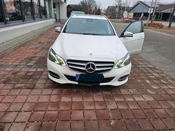 Weiß Gebraucht 2015 Mercedes E250 Kombi | 11.600 € (Superpreis)