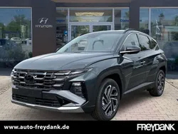 Cypress green Gebraucht 2024 Hyundai Tucson Prime SUV | 39.999 € (Etwas zu teuer)