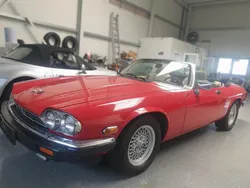 Rot Gebraucht 1990 Jaguar XJS Cabrio | 22.600 €