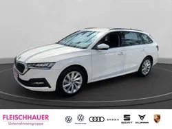 Weiss Gebraucht 2024 Skoda Octavia Ambition Kombi | 27.980 € (Fairer Preis)