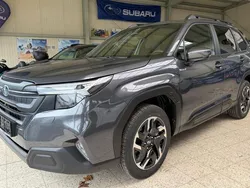 Grau Neu 2025 Subaru Forester Active SUV | 44.990 € (Fairer Preis)