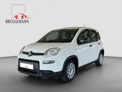 Gelato weiß Gebraucht 2024 Fiat Panda Kleinwagen | 11.990 € (Guter Preis)