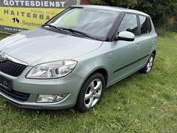 Grau Gebraucht 2011 Skoda Fabia Family Kleinwagen | 3.800 € (Etwas zu teuer)