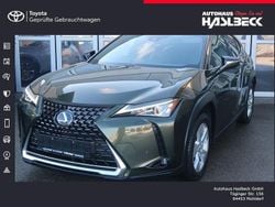Grün Gebraucht 2021 Lexus UX 250h SUV | 24.980 € (Fairer Preis)