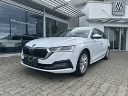Weiß Gebraucht 2020 Skoda Octavia First Edition Kombi | 17.480 € (Fairer Preis)