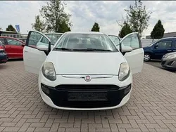 Weiß Gebraucht 2011 Fiat Punto Kleinwagen | 2.799 €