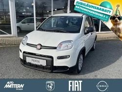 Gelato weiss Gebraucht 2025 Fiat Panda Kleinwagen | 14.990 € (Fairer Preis)
