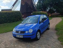 Blau Gebraucht 2004 VW Polo Kleinwagen | 1.499 € (Etwas zu teuer)