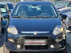 Blau Gebraucht 2011 Fiat Punto Easy Kleinwagen | 3.699 € (Etwas zu teuer)