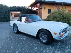 Weiß Gebraucht 1971 Triumph TR6 Cabrio | 30.000 €