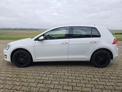 Weiß Gebraucht 2016 VW Golf VII Allstar Limousine | 13.500 €