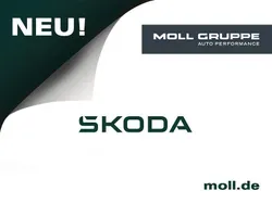 Weiß Neu 2025 Skoda Karoq Selection SUV | 38.690 € (Etwas zu teuer)