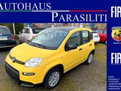 Bicolore gelb / dach in schwar Gebraucht 2024 Fiat Panda Kleinwagen | 13.990 € (Fairer Preis)