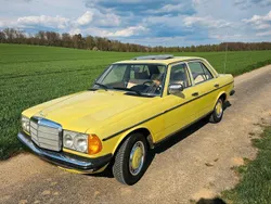 Grün Gebraucht 1977 Mercedes 250 Limousine | 7.999 €