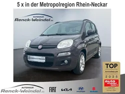 Marrone pastello (vr833/a)) (braun Gebraucht 2012 Fiat Panda Lounge Kleinwagen | 7.989 €