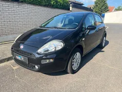 Schwarz Gebraucht 2015 Fiat Punto Pop Kleinwagen | 5.990 € (Fairer Preis)