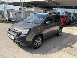 Colosseo grau Gebraucht 2020 Fiat Panda Cross Cross Kleinwagen | 11.990 € (Etwas zu teuer)