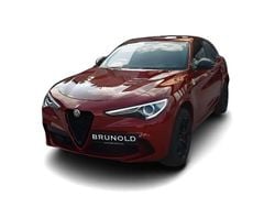 Andere Gebraucht 2020 Alfa Romeo Stelvio SUV | 74.909 €