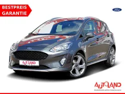 Grau Gebraucht 2019 Ford Fiesta Active Kleinwagen | 12.990 € (Fairer Preis)