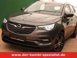 Grau Gebraucht 2019 Opel Grandland X SUV | 14.950 € (Fairer Preis)