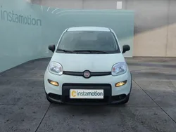 Weiß Neu 2024 Fiat Panda Kleinwagen | 12.499 € (Guter Preis)