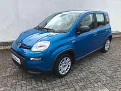 Blau Neu 2024 Fiat Panda Kleinwagen | 13.990 € (Fairer Preis)