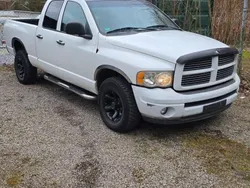 Weiß Gebraucht 2002 Dodge Ram Abholung | 7.950 € (Superpreis)
