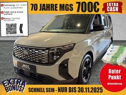Cactus grey Neu 2025 Ford Tourneo Van / Kleinbus | 34.490 € (Fairer Preis)