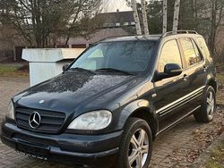 Blau Gebraucht 1999 Mercedes ML320 SUV | 3.490 € (Etwas zu teuer)