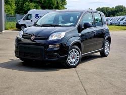 Schwarz Gebraucht 2024 Fiat Panda Kleinwagen | 12.790 € (Guter Preis)