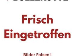 Schwarz Gebraucht 2019 Seat Ibiza Beats Limousine | 13.399 € (Etwas zu teuer)