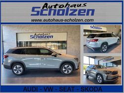 Stahl grau Gebraucht 2024 Skoda Kodiaq Selection SUV | 45.890 € (Fairer Preis)