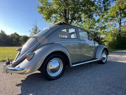 Beige Gebraucht 1959 VW Käfer Kombi | 26.500 €