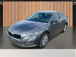 Grau graphite grau Gebraucht 2023 Skoda Octavia Selection | 26.890 € (Guter Preis)
