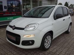 Weiß Gebraucht 2017 Fiat Panda Easy Kleinwagen | 5.700 € (Guter Preis)