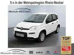 Weiss Gebraucht 2024 Fiat Panda Cross Kleinwagen | 15.489 € (Etwas zu teuer)