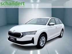 Candyweiß (weiß) Neu 2025 Skoda Octavia Essence Kombi | 27.880 € (Fairer Preis)