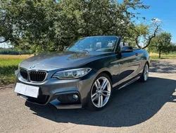 Grau Gebraucht 2016 BMW 228 M Sport Cabrio | 19.900 € (Fairer Preis)