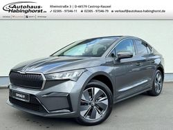 Grau Gebraucht 2025 Skoda Enyaq iV SUV | 43.490 € (Fairer Preis)