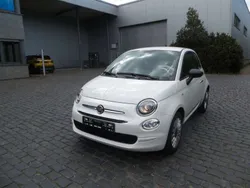 Gelato weiß Gebraucht 2023 Fiat 500 Kleinwagen | 10.990 € (Superpreis)