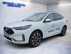Weiß Gebraucht 2024 Ford Kuga ST-Line X SUV | 41.490 € (Fairer Preis)