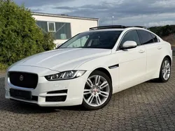 Weiß Gebraucht 2016 Jaguar XE Prestige Limousine | 8.590 € (Guter Preis)