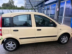 Gelb Gebraucht 2008 Fiat Panda Kleinwagen | 1.300 € (Guter Preis)