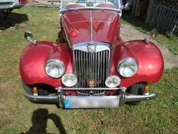 Gebraucht 1954 MG TF Cabrio | 38.000 €