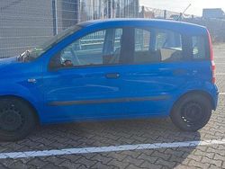 Blau Gebraucht 2006 Fiat Panda Kleinwagen | 2.000 € (Fairer Preis)