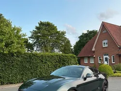 Grün Gebraucht 2020 Ford Mustang Bullitt Coupé | 42.400 € (Guter Preis)