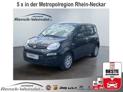 Blau Neu 2025 Fiat Panda Kleinwagen | 15.789 € (Fairer Preis)